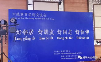成功人力被邀参加中越商贸促进交流会,共同商讨 一带一路 商机
